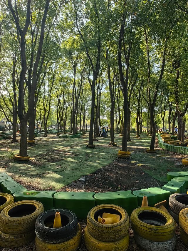 可以衝嘉北郊野公園的稻田（附保姆級攻略）。