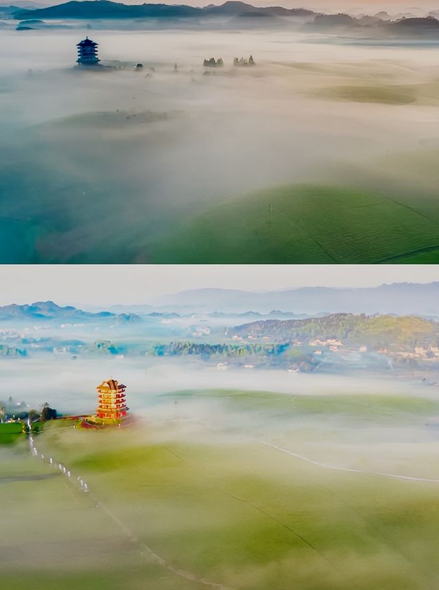 歡迎大家到我的家鄉貴州茶海。 歡迎大家到我的家鄉貴州茶海。