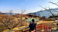 紅葉染盡「坡峰嶺」。