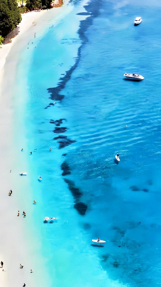 你能想像在澳洲海邊騎駱駝滑沙嗎。