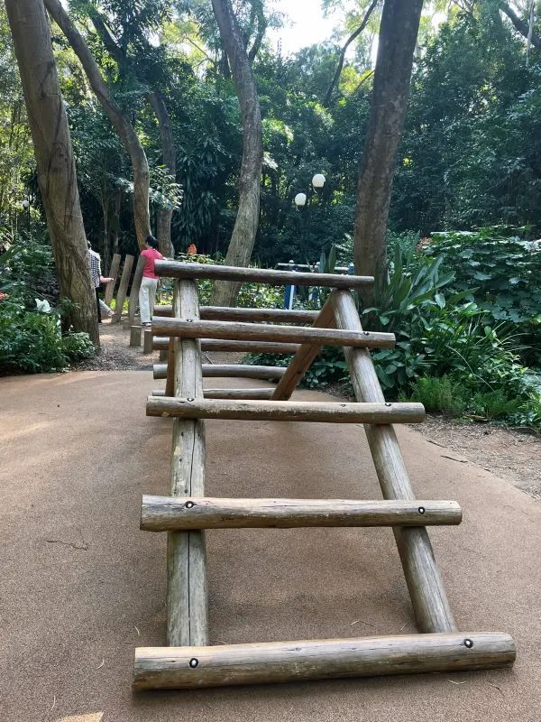 有多少人不知道⁉️莲花山隐藏了一个童趣乐园