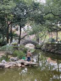 南昌人民公園。