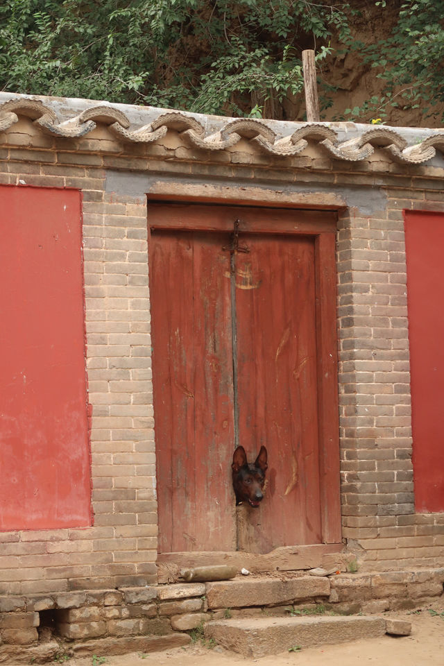 山西佛光寺｜真正的大唐只能在中國。
