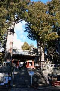 Explore Nikko in a Day with Tobu Pass