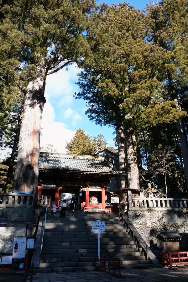 Explore Nikko in a Day with Tobu Pass