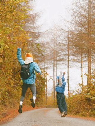 Round-trip from Chengdu to Laoya Mountain to see the colorful forest. 