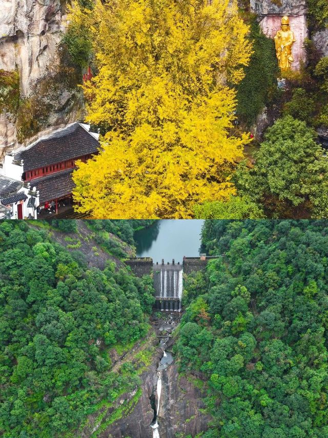 在杭州，每年秋天只去一個地方。