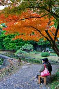 東京賞秋｜最後4天，這個精美的日式庭院不僅有紅葉