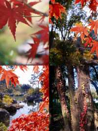 狼山北麓園秋日旅遊攻略：邂逅南通的詩意秋色