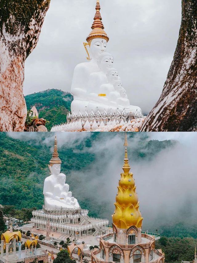 都去摘草莓了  /  草莓城碧瑶