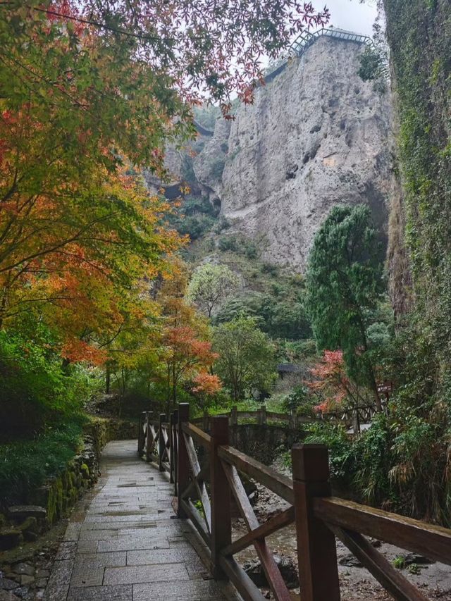 實話難聽，但這確實是雁蕩山的現狀