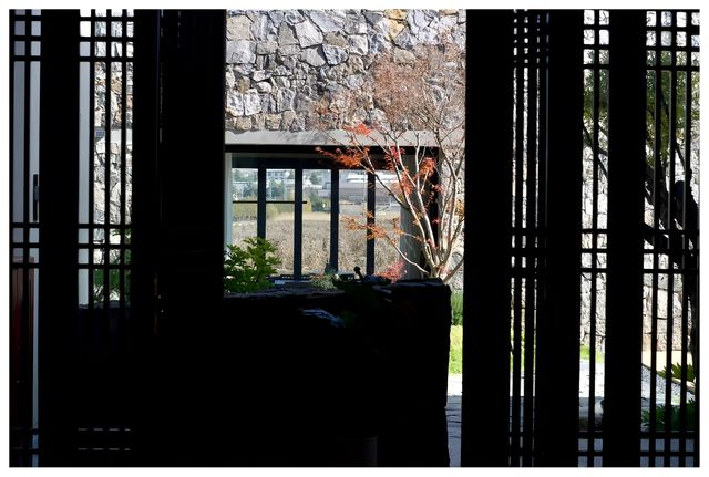 誰懂！？去有風的地方感受慢生活