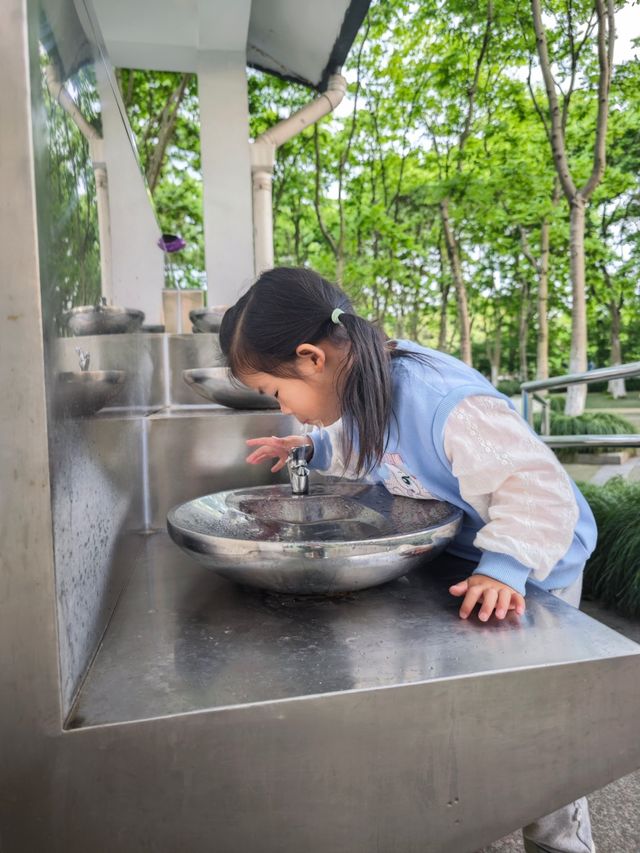 寶藏公園、超好玩彩虹滑道、兒童樂園 玩得停不下來！