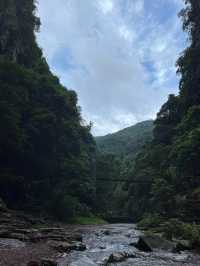 廣西貴港龍潭森林公園|大自然的綠色寶藏