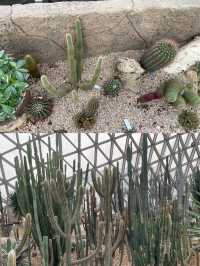 辰山植物園,邂逅自然之美
