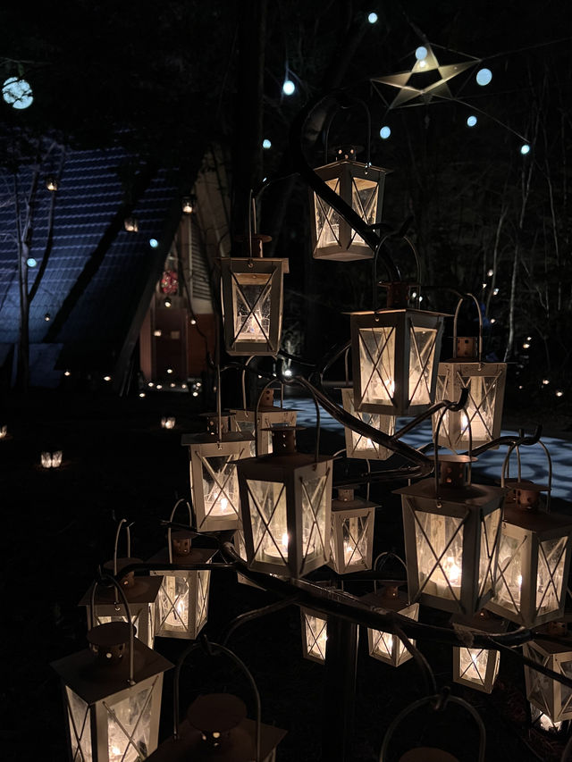Experience the Enchanting Christmas Lights at Karuizawa's Starry Forest