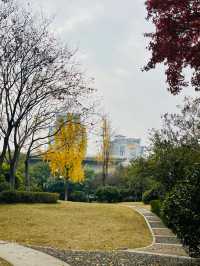 長沙｜白沙古井的遊玩攻略