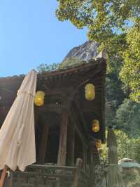 永嘉陶公洞半日遊