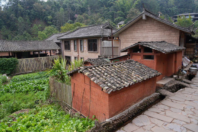 普洱那柯里 | 不只古鎮，還有山、溪流和曠野