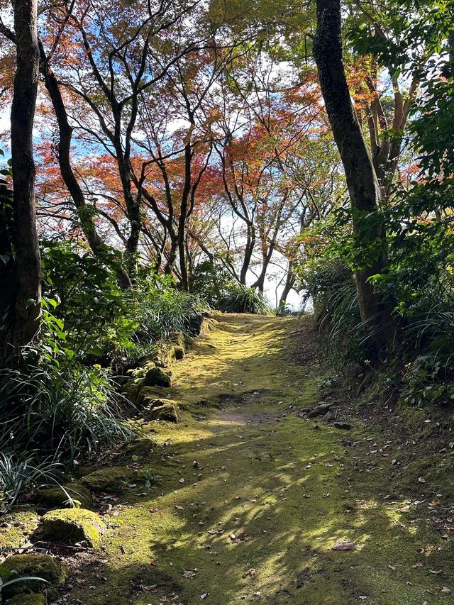 寒假要去日本5日深度遊攻略