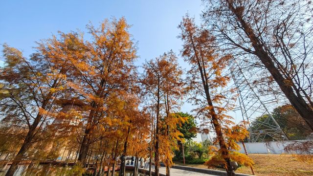 冇諗到吖，千燈湖公園原來有咁靚嘅景色