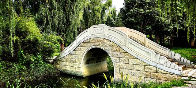 北坞公園的夏天，真美！