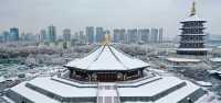 洛陽丨初雪