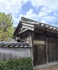 探索日本秘境：對馬市Miuda Beach嘅絕美風光