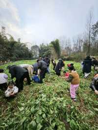 不出遠門過春節 | 來蝸牛部落遛娃吧