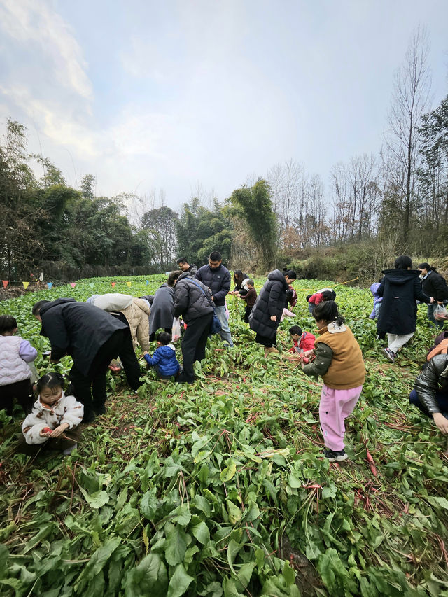 不出遠門過春節 | 來蝸牛部落遛娃吧
