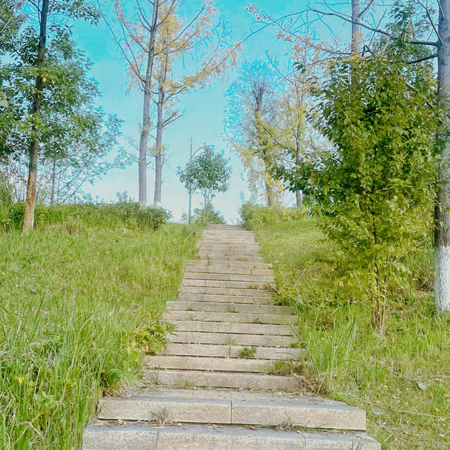 "我在桂溪生態公園待了20分鐘，居然發生了這種變化！"