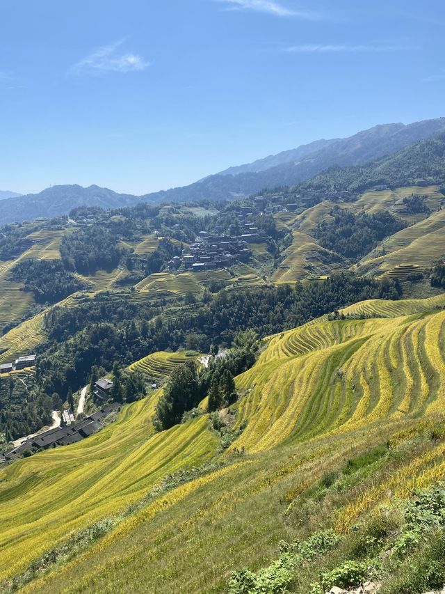 龍脊梯田-三江老友記超全旅遊攻略別錯過