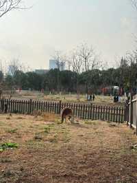 市區公園裏藏了個動物園！這也太超前了吧！