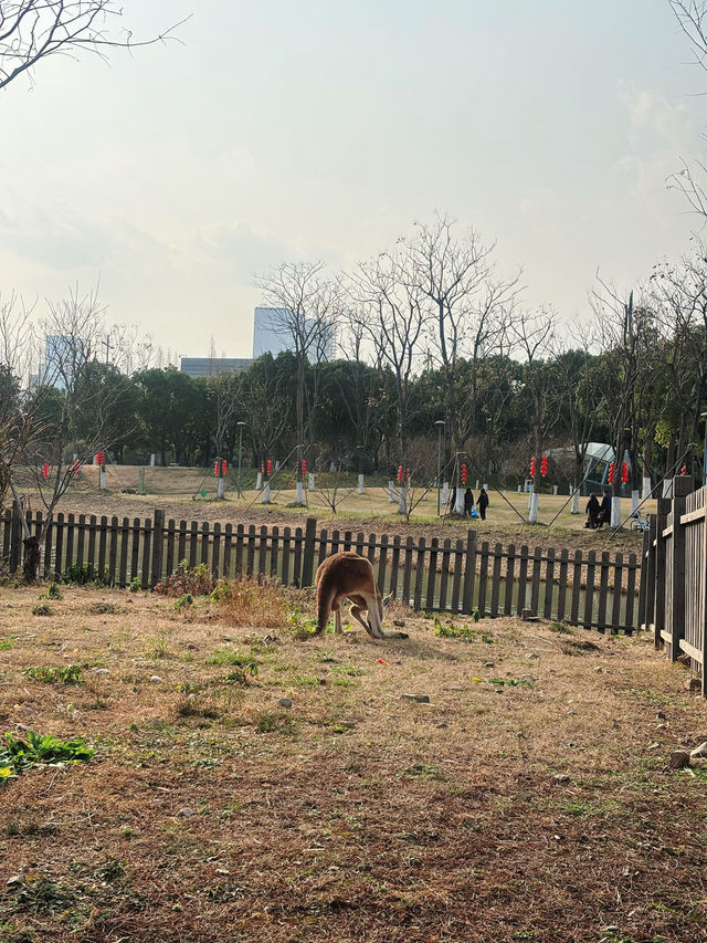 市區公園裏藏了個動物園！這也太超前了吧！