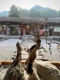 羅源竹里村 踏青徒步聚會