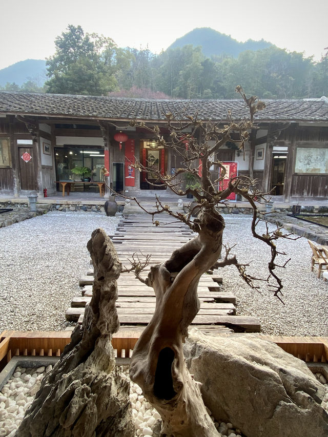 羅源竹里村 踏青徒步聚會