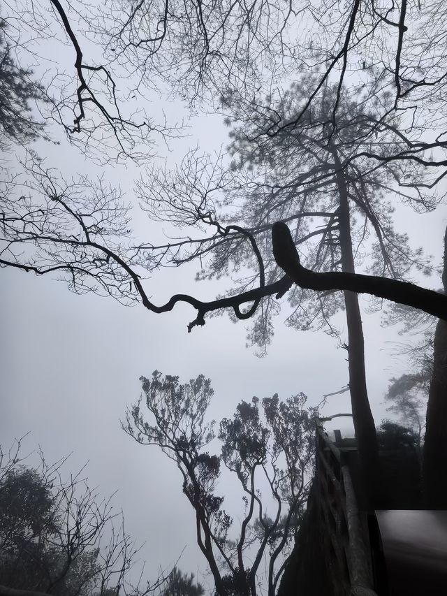 江西風景獨好：吉安·羊獅慕
