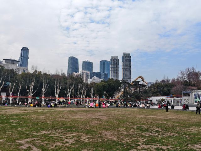 武漢|被一個公園狠狠治癒了~中山公園絕絕子