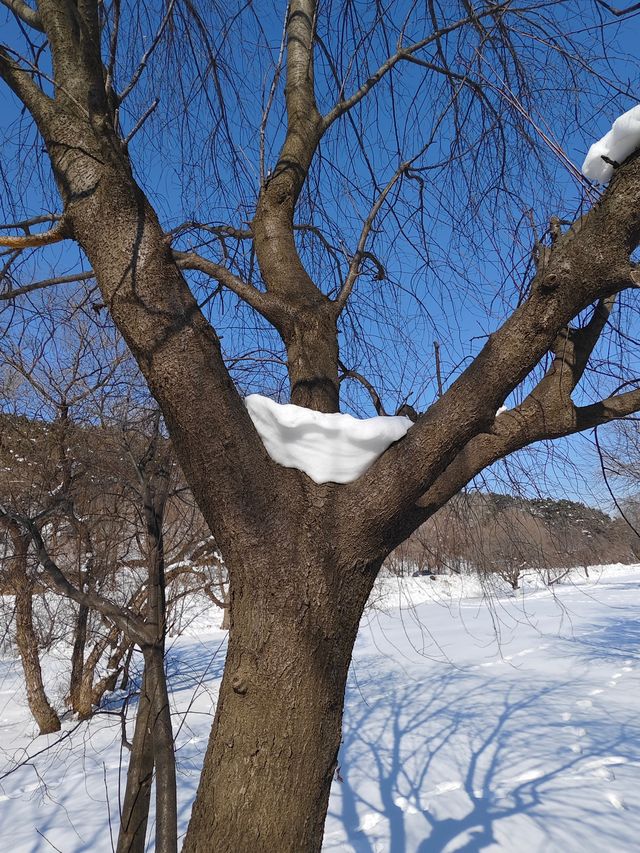 老百姓的後花園~~棋盤山風景區