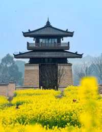 成都油菜花海的春日之旅：13個絕美打卡地點推薦