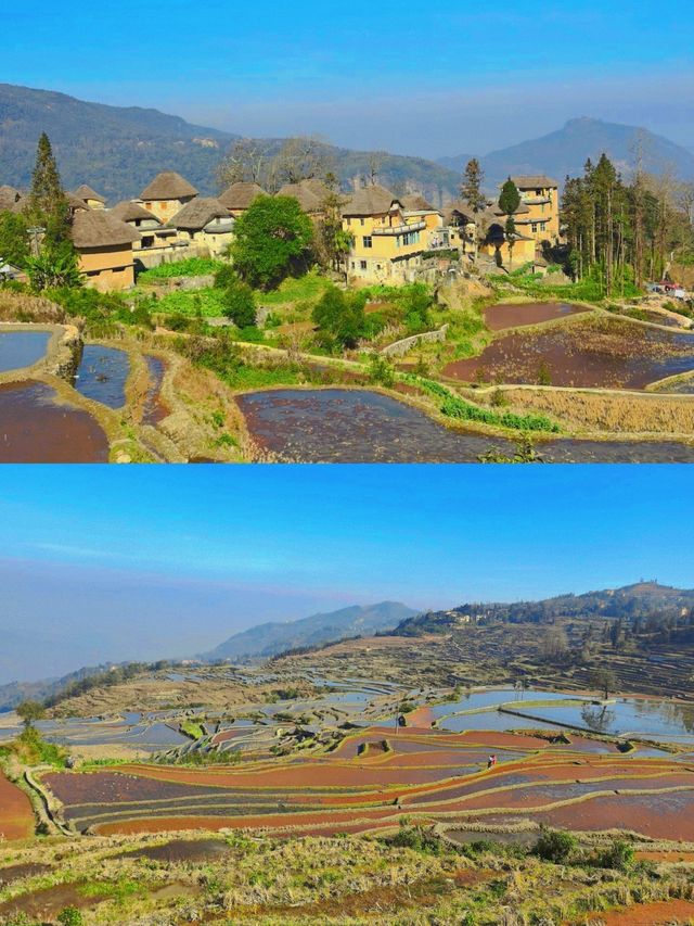 這個藏在紅河哈尼梯田世界文化遺產的村落。