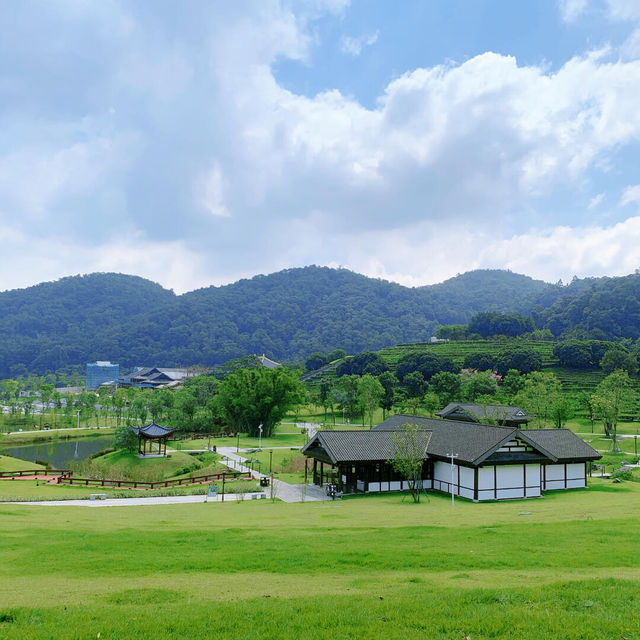 唔系京都❗️系中山‼️值N刷嘅公園 中山公園天花板
