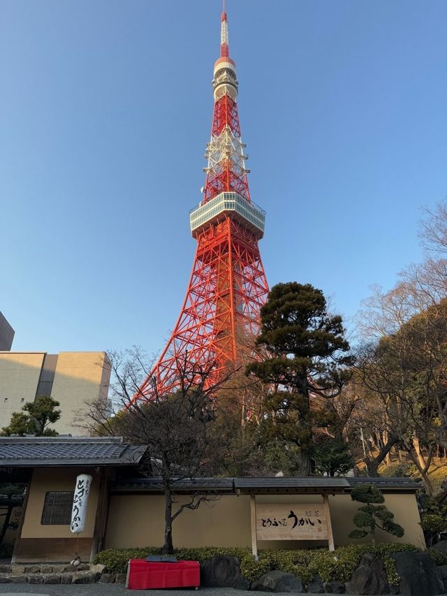 日本7日遊 看這篇攻略就夠了