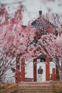 韶關山水間，藏著嶺南最磅礴的春天