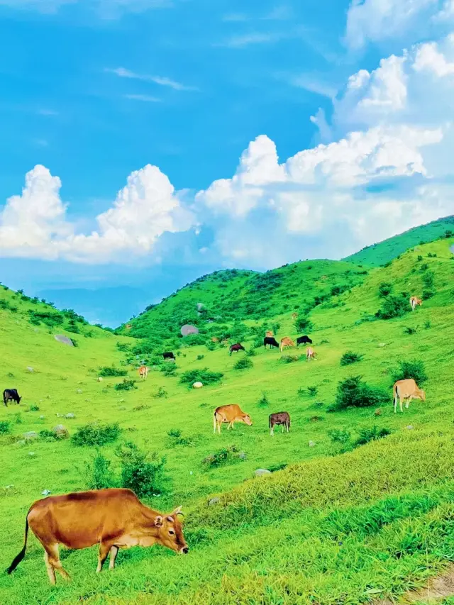 Xinxing Fengche Mountain in Yunfu, Guangdong: Good air, good scenery, it is a good place