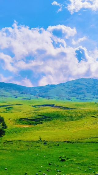 Hongchiba National Forest Park: Summer Resort or Flower Lover's Paradise?