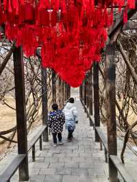 常家莊園