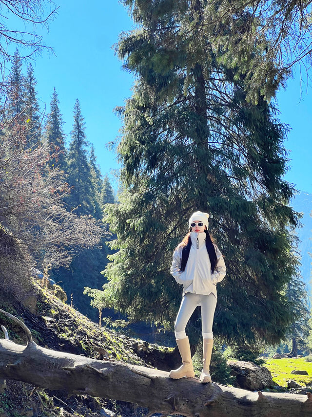 不在國外不在國外就在烏魯木齊南山