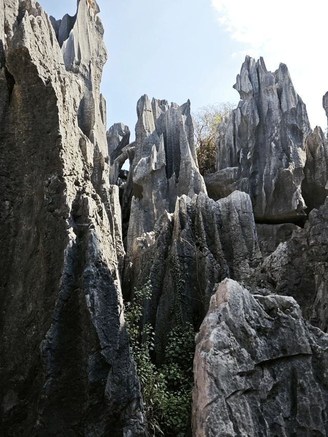 雲南昆明-大理市-麗江的古鎮探秘 穿越千年的時光之旅