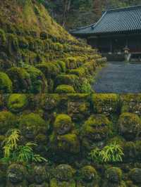 遍地表情包，這大概是京都最可愛的寺廟！